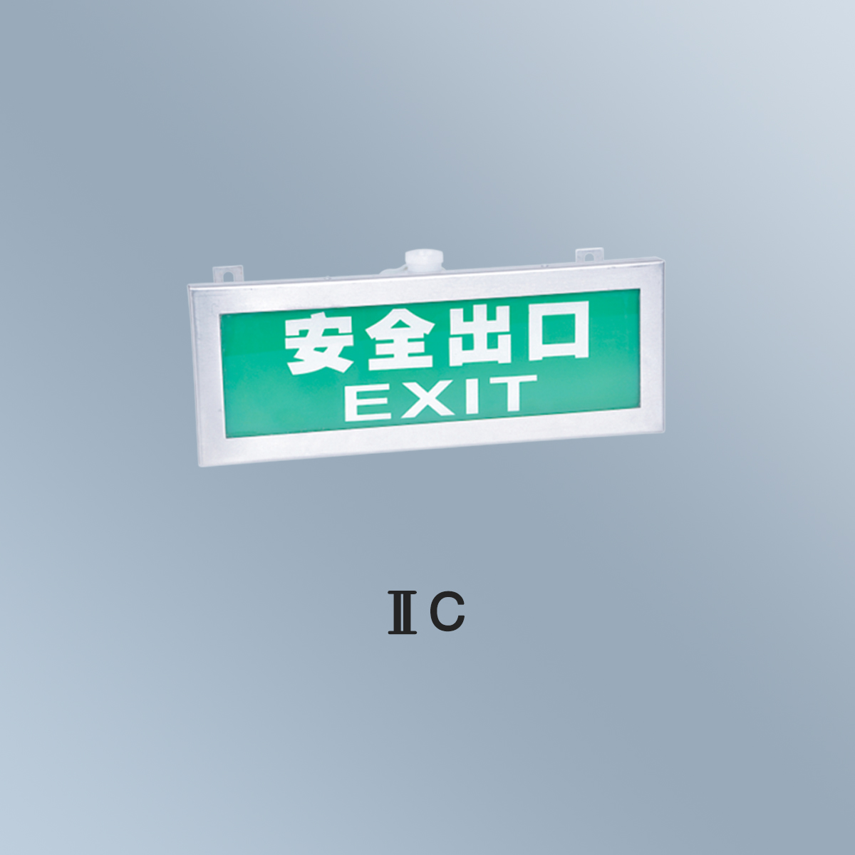 BYY 系列防爆標志燈(ⅡB、ⅡC)